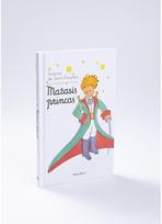 mazasis princas - Šventosios Dvasios vedimas - 3 nuotrauka