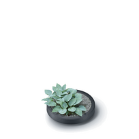 plastikine talpykla - Plastikinė vandens talpa MAZE, antracito sp., 240 l - 2 nuotrauka