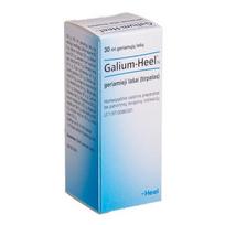 GALIUM-HEEL N, geriamieji lašai (tirpalas), 30 ml