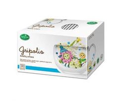 vaikiskas arbatos - ACORUS GRIPOLIS (vaikiška linija), 1,5 g, žolelių arbata, 20 vnt. - 2 nuotrauka