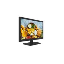 18 monitor - Hikvision DS-D5019QE-B 19" Monitorius - 1 nuotrauka