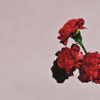 LEGEND JOHN: LOVE IN THE FUTURE CD