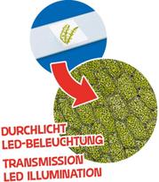 mikroskopas 40x - Bresser Junior 40x-640x - 3 nuotrauka