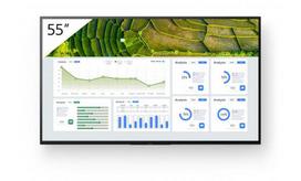 interaktyvi lenta - Sony Bravia FW-55BZ30L 55", LCD - 1 nuotrauka