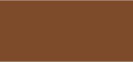Erborian Super BB Kremas SPF20 Chocolat (Brown) 15 ml