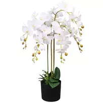 vazonai orchidejoms - Dirbtinė orchidėja vidaXL, 75 cm, balta (White) - 1 nuotrauka