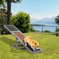 medines supynes - PawHut šunų sūpynės Agility 180 x 30 x 30 cm - 1 nuotrauka
