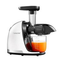 sulciaspaude - AMZCHEF Slow Juicer AMZCHEF 1501-WT (Balta) - 1 nuotrauka