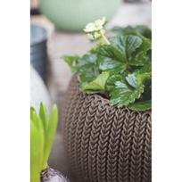 vazonai senukai - Plastikinis vazonas Curver Cozies S, Ø28 cm - 2 nuotrauka