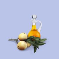odos dazai - KADUS C.A.L.M šampūnas, 250 ml - 1 nuotrauka