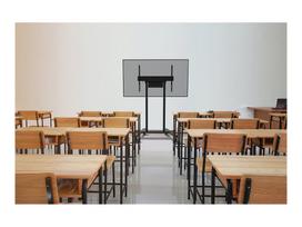 tv laikiklis vesa 100x100 - NEOMOUNTS BY NEWSTAR MOTORISED MOBILE FLOOR STAND - VESA 100X100 UP TO 800X600 BLACK - 6 nuotrauka