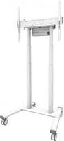vesa 100x100 laikiklis - NEOMOUNTS BY NEWSTAR MOTORISED MOBILE FLOOR STAND - VESA 100X100 UP TO 800X600 WHITE - 1 nuotrauka