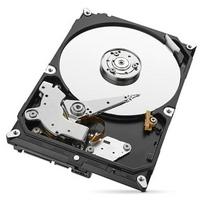 sata ssd 1tb - Seagate SkyHawk 1TB 5900RPM SATAIII 64MB ST1000VX005 - 4 nuotrauka