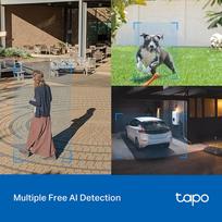 tp link tapo camera - Tp-Link Tapo C520WS - 4 nuotrauka
