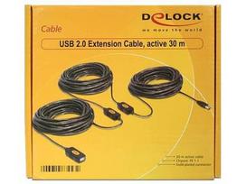 active usb extension cable - Delock Cable USB / USB 30m - 2 nuotrauka