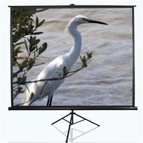 Elite Screens T100UWV1 Tripod Screen