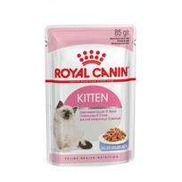 royal canin kitten kaina