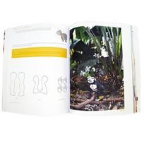 rinkinys knygu - Sunen 3DOODLER Book - 3D Project book to the pen 3Doodler (eng.) - 5 nuotrauka