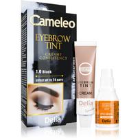 Delia Cosmetics Cameleo profesionalų lygio kreminiai antakių dažai be amoniako atspalvis 1.0 Black 15 ml