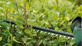 akumuliatorines zirkles bosch - Bosch Universal Hedge Cut 0600849K00, be akumuliatoriaus - 2 nuotrauka