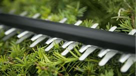 akumuliatorines zirkles bosch - Bosch Universal Hedge Cut 0600849K00, be akumuliatoriaus - 3 nuotrauka
