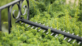 akumuliatorines zirkles bosch - Bosch Universal Hedge Cut 0600849K00, be akumuliatoriaus - 4 nuotrauka