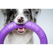 treniruoklis minti - Collar Puller Standard 28cm - 1 nuotrauka