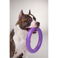 treniruoklis minti - Collar Puller Standard 28cm - 5 nuotrauka
