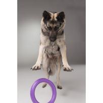 treniruoklis minti - Collar Puller Standard 28cm - 6 nuotrauka