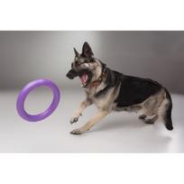 treniruoklis minti - Collar Puller Standard 28cm - 7 nuotrauka
