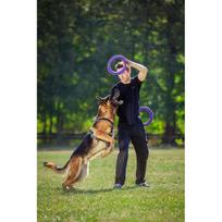 treniruoklis minti - Collar Puller Standard 28cm - 9 nuotrauka