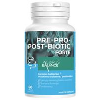 gerosios bakterijos camelia - ACORUS BALANCE gerosios bakterijos PRE-PRO-POST-BIOTIC FORTE, 60 kapsulių - 2 nuotrauka