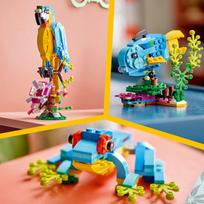 lego 3 in 1 - LEGO Creator 3in1 Egzotiška papūga 31136 - 10 nuotrauka