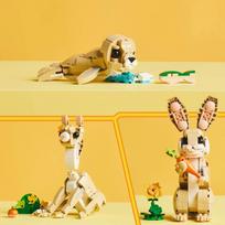 legajos - LEGO Creator 3in1 Cute Bunny 31162 - 7 nuotrauka