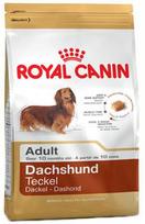 Royal Canin BHN Dachshund Adult 0.5kg