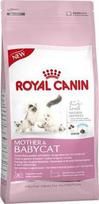 royal canin babycat - Royal Canin FHN Mother and Babycat, 400 g - 2 nuotrauka