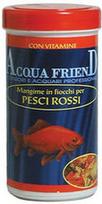 Record Acqua Friend Pesci Rossi 250ml