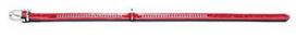 Hunter Collar Modern Art Fashion Kroko 18/100 Red