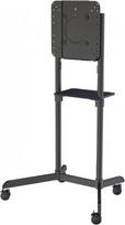 mobilus tv stovas - NEWSTAR MOBILE FLAT SCREEN FLOOR STAND (HEIGHT: 160 CM) 37-70" BLACK - 3 nuotrauka