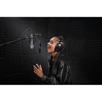 rode mikrofonas - Rode microphone NT1, black - 8 nuotrauka
