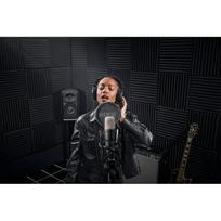 rode mikrofonas - Rode microphone NT1, black - 10 nuotrauka