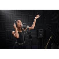 rode mikrofonas - Rode microphone NT1, black - 11 nuotrauka