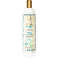 Natura Siberica Mint, Berioza & Retinol šampūnas riebiems plaukams 400 ml