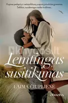 pazintys - LEMTINGAS SUSITIKIMAS: netikėtos pažintys, intriguojantys pasiūlymai ir likimo iššūkiai naujame lietuvių autorės meilės romane - 2 nuotrauka