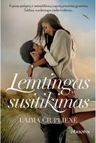 pazintys - LEMTINGAS SUSITIKIMAS: netikėtos pažintys, intriguojantys pasiūlymai ir likimo iššūkiai naujame lietuvių autorės meilės romane - 3 nuotrauka