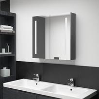 Veidrodinė vonios spintelė su LED apšvietimu vidaXL, pilka (Grey), 62 x 14 x 60 cm