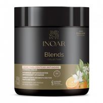 INOAR Blends Styling Cream plaukų formavimo kremas su vitaminu C 500 g