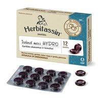 herbitassin - HERBITASSIN ICELAND MOSS HYDRO, pastilės, N12 - 1 nuotrauka