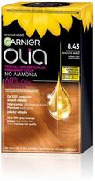 auksiniai dazai - Garnier Olia ilgalaikiai plaukų dažai be amoniako - 8.43 Intensyvi Auksinė Varis (Intense Golden Copper) - 2 nuotrauka