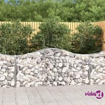 vidaXL Išlenkti gabiono krepšiai, 40vnt., 200x50x80/100cm, geležis